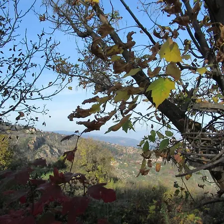 Oniron Katafigio Ano Trikala